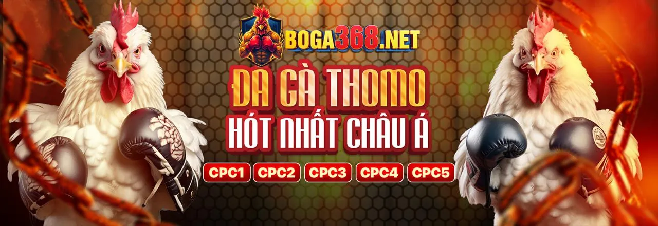 Đá Gà Trực Tuyến Kwin APK